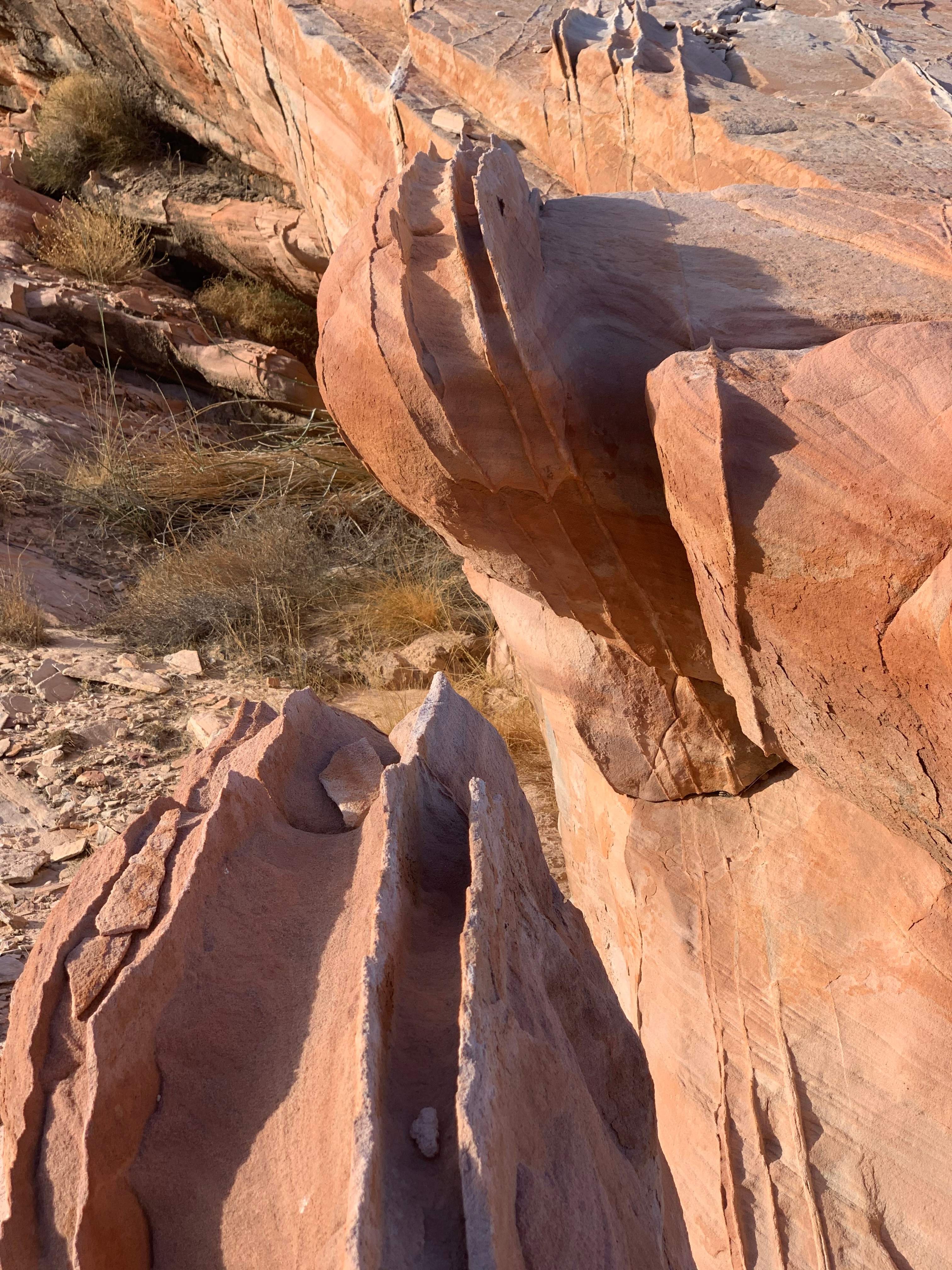 Nevada